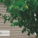 Сайдинг Ю-Пласт TIMBERBLOCK Пихта (Тимберблок) Cахалинская купить в Анапе