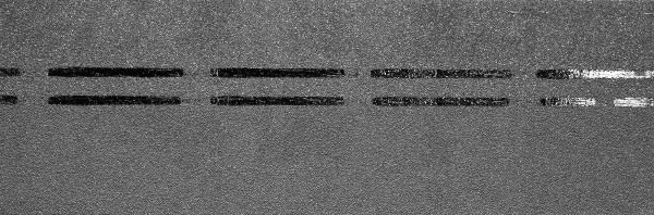 Коньково-карнизная черепица Docke Premium, черника купить в Анапе