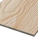 Фиброцементные панели FCSPRO Decor Wood Лиственница купить в Анапе